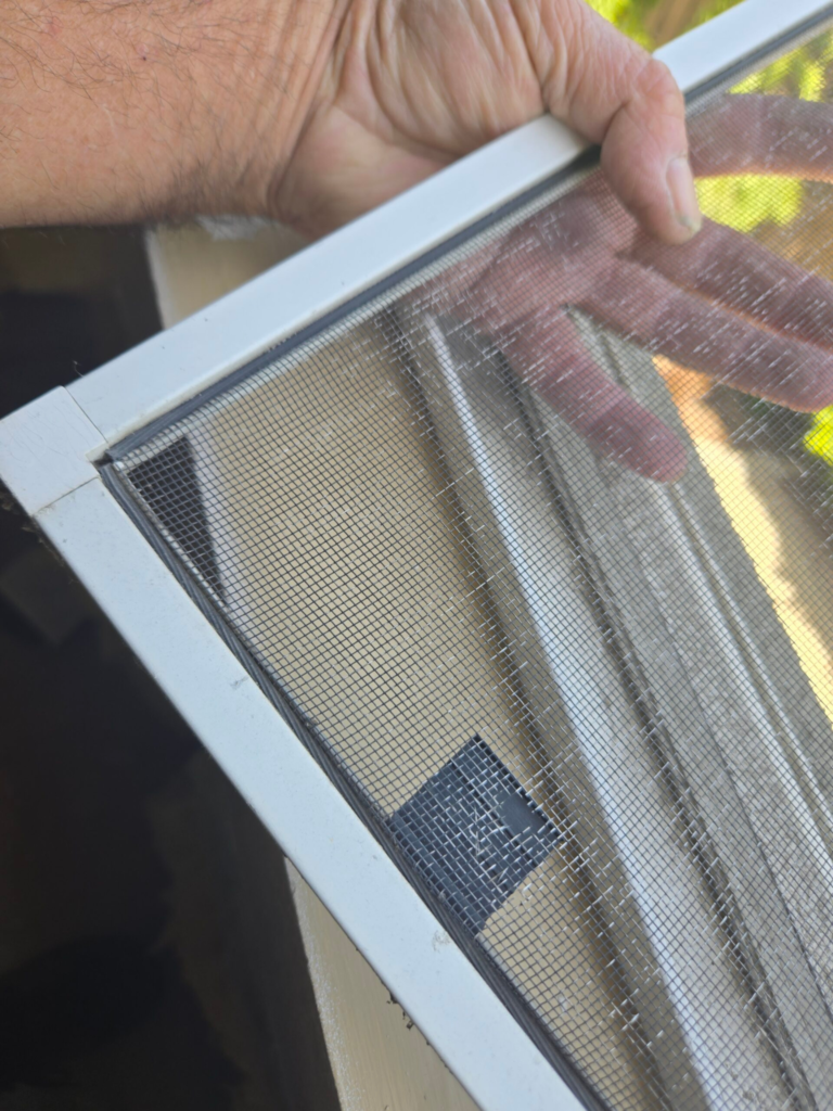 Fast & Reliable Professional Screen Solutions